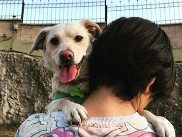 10 razones para adoptar